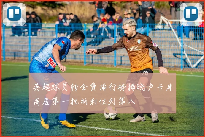 英超球员转会费排行榜揭晓卢卡库高居第一托纳利位列第八