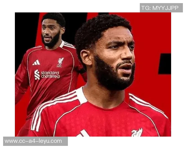 米兰计划明年一月引援新后卫乔戈麦斯成为首选目标